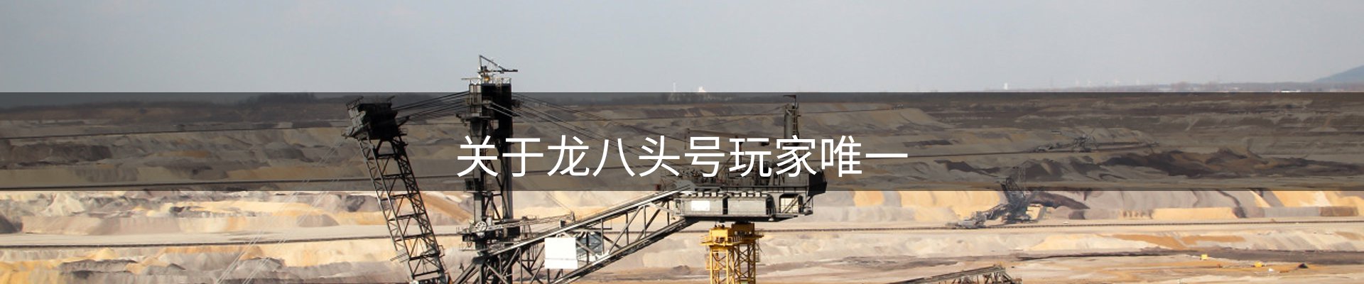 关于龙八头号玩家唯一